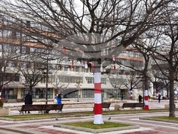 Снимка: Община Благоевград