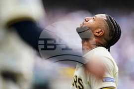 NLDS Cubs Brewer Baseball