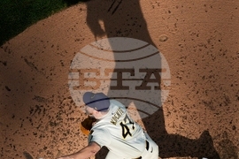 NLDS Cubs Brewers Baseball