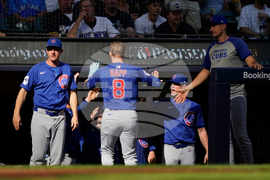 NLDS Cubs Brewers Baseball