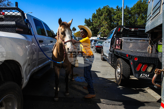 California Black Cowboys