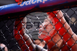 UFC 320 Mixed Martial Arts