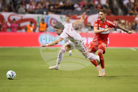 MLS Toronto Fire Soccer