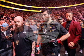 UFC 320 Mixed Martial Arts