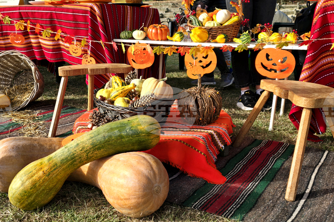 Първото издание на инициативата “Плодовете на Добруджа” се провежда в добричкото село Стефаново и е посветено на тиквата