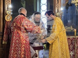 Видин - митрополит Пахомий - литургия - катедрален храм