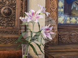 Видин - митрополит Пахомий - литургия - катедрален храм