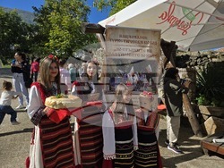 Петрич - Национален парк-музей „Самуилова крепост“