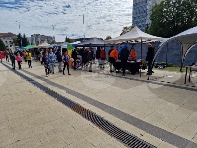 Близо 13 клуба представиха дейността си на второто издание на "Панорама на спорта" в Перник