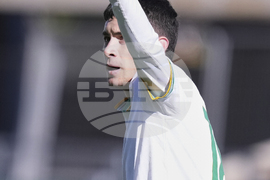 Italy Soccer Serie A