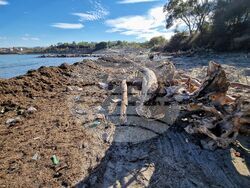 Царево - наводнения - обстановка