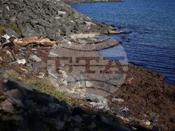 Царево - наводнения - обстановка