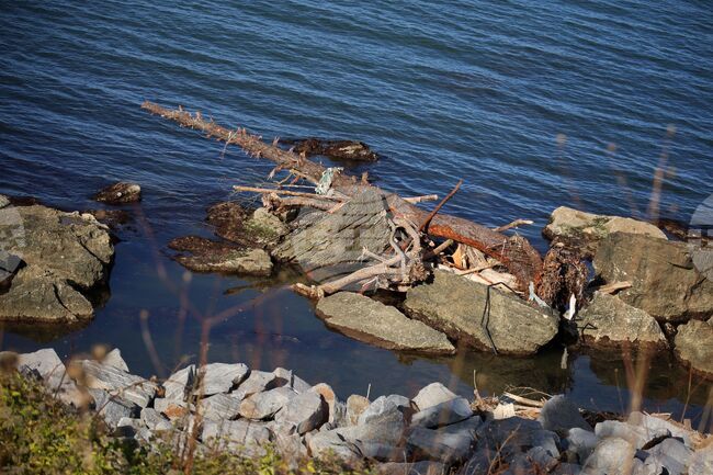 Вятър с пориви до 90 км/ч се очаква днес в района на община Царево 