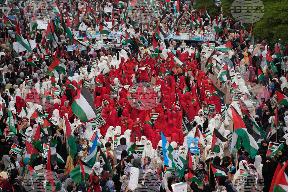 Pakistan Gaza Protest