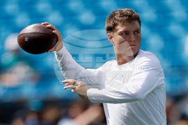 Dolphins Panthers Football