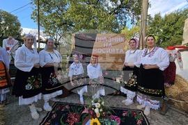 Село Неговановци - празник на народната носия
