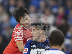 Germany Soccer Bundesliga