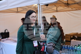 Пловдив - Глобална конференция за винен туризъм на UN Tourism - посещение