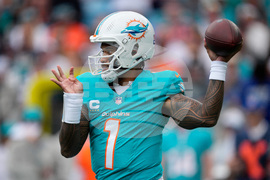 Dolphins Panthers Football