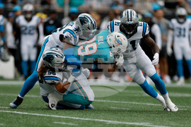 Dolphins Panthers Football