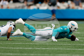 APTOPIX Dolphins Panthers Football
