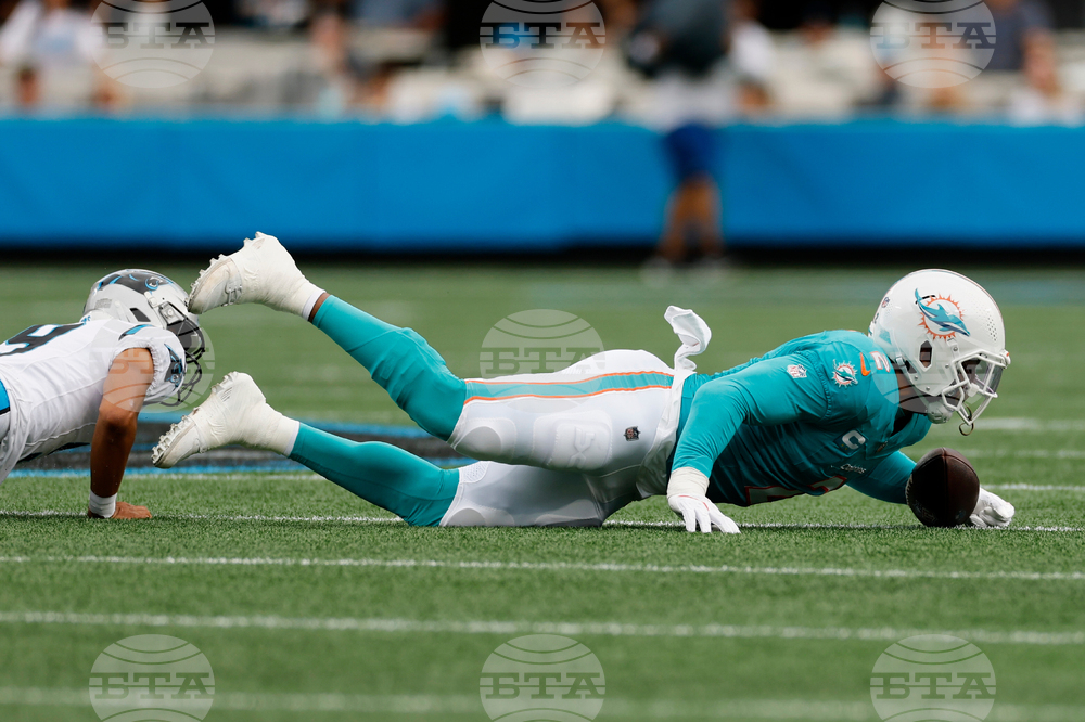 APTOPIX Dolphins Panthers Football