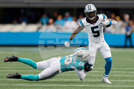 Dolphins Panthers Football