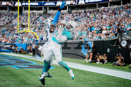 APTOPIX Dolphins Panthers Football