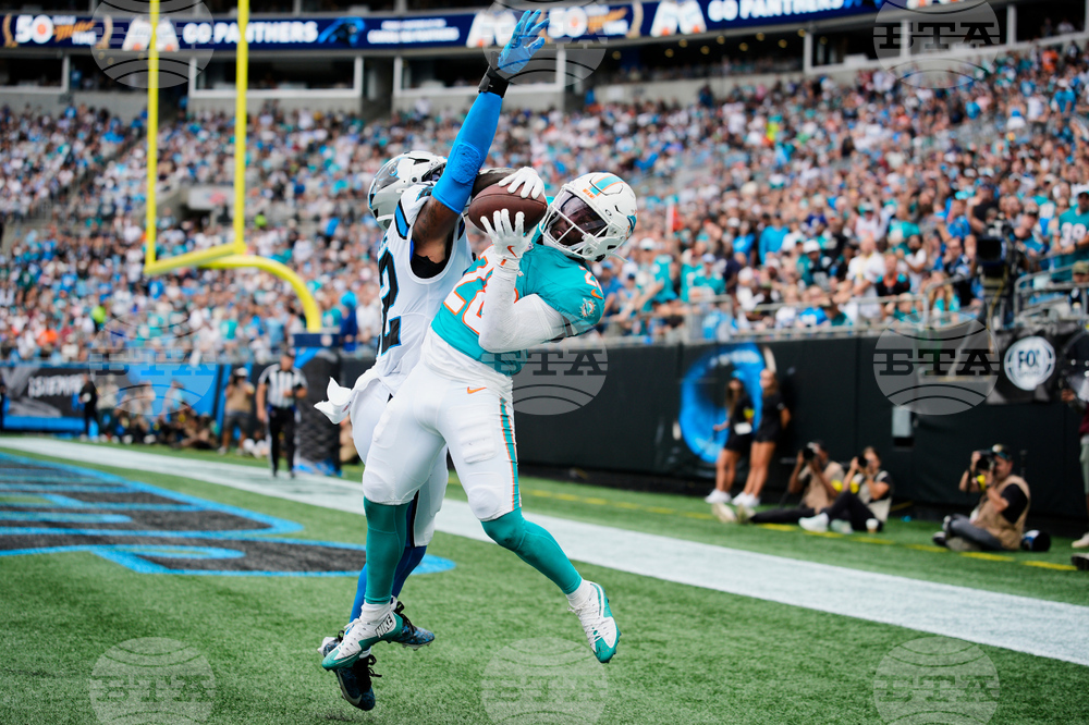 APTOPIX Dolphins Panthers Football