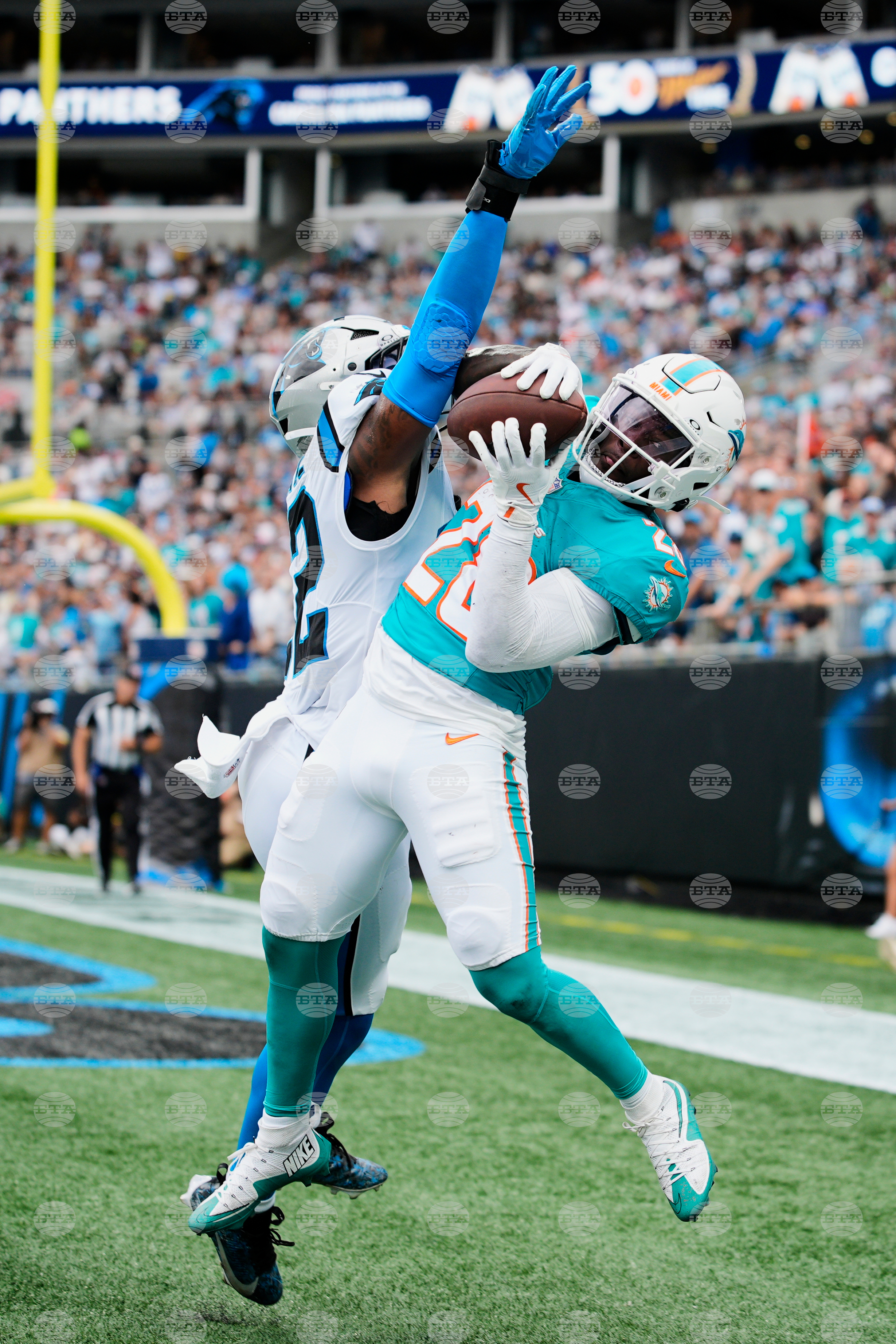 APTOPIX Dolphins Panthers Football
