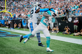 Dolphins Panthers Football