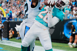 Dolphins Panthers Football