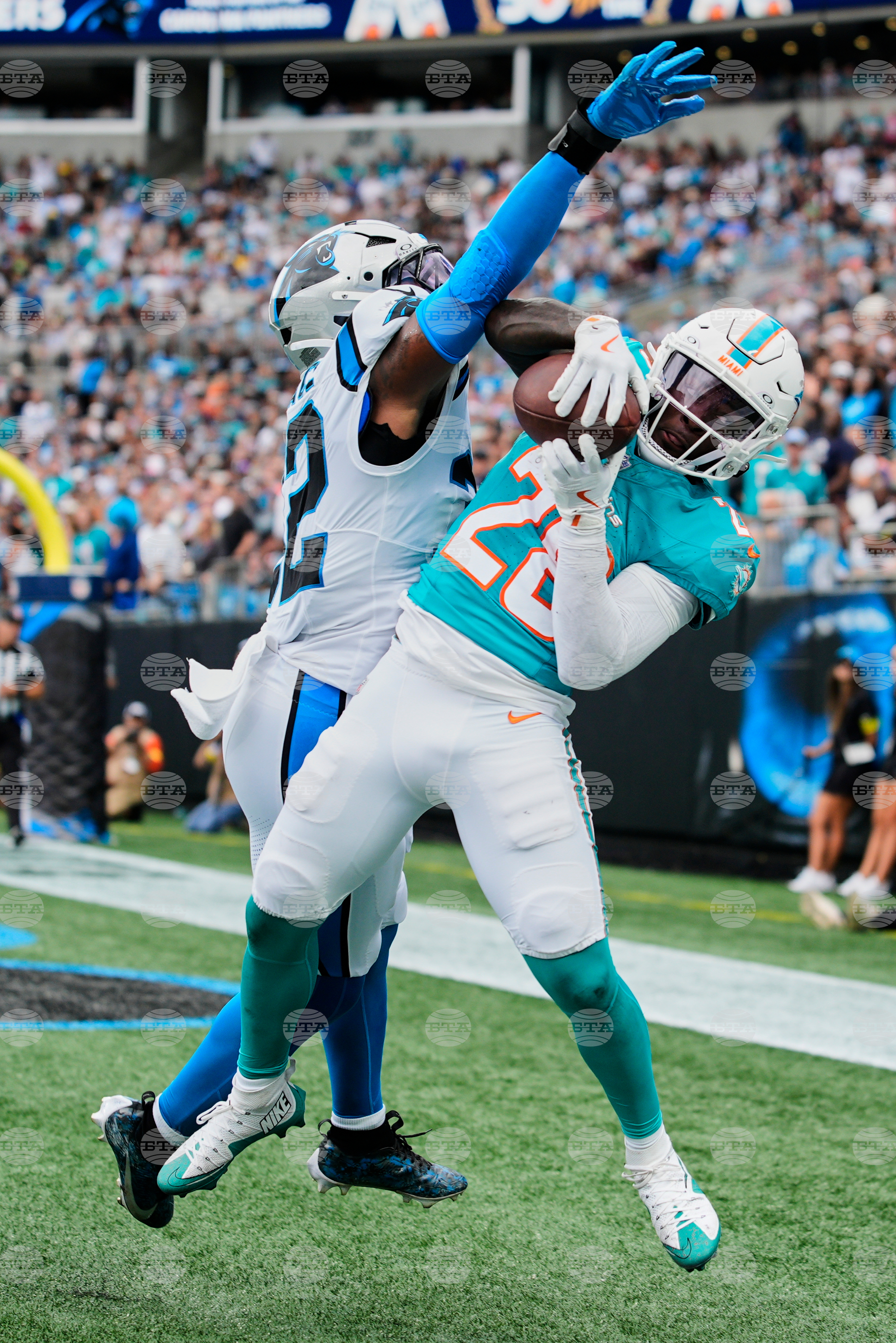Dolphins Panthers Football