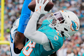 Dolphins Panthers Football