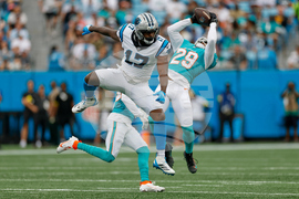 APTOPIX Dolphins Panthers Football
