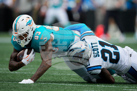 Dolphins Panthers Football