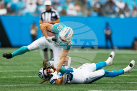 Dolphins Panthers Football