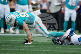 Dolphins Panthers Football