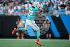 Dolphins Panthers Football