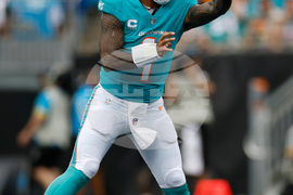 Dolphins Panthers Football