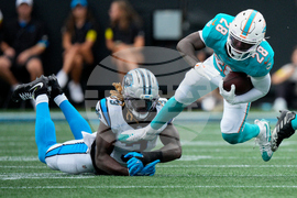 Dolphins Panthers Football