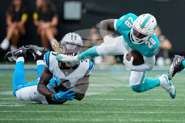 APTOPIX Dolphins Panthers Football