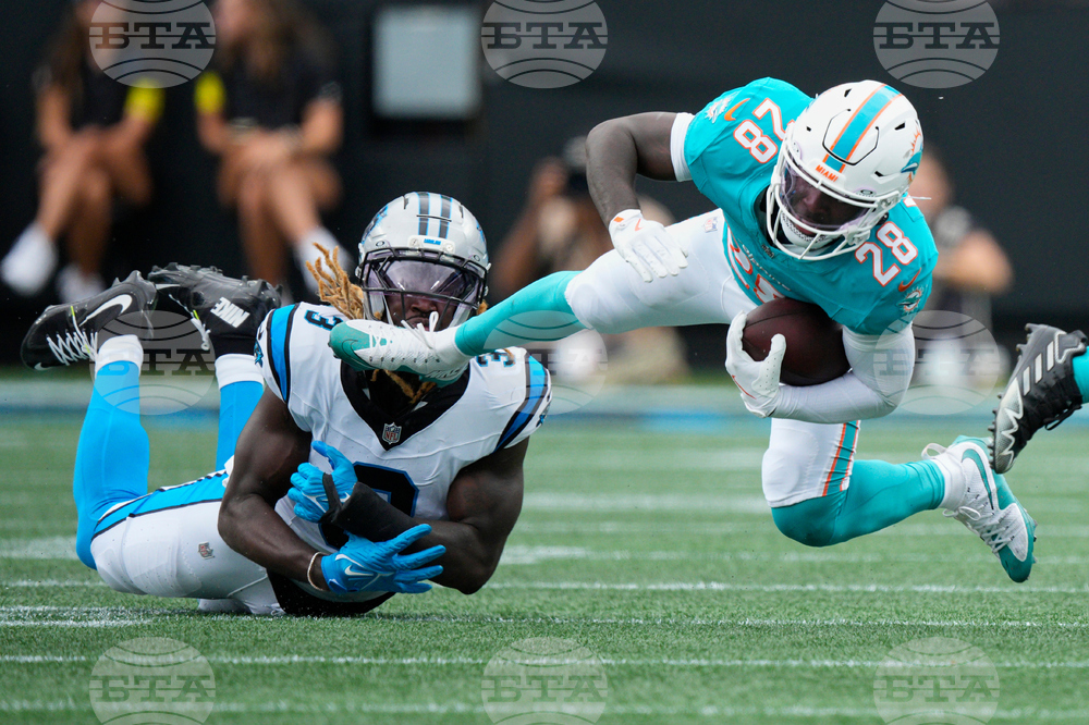 APTOPIX Dolphins Panthers Football