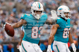 Dolphins Panthers Football
