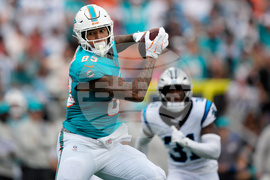 Dolphins Panthers Football