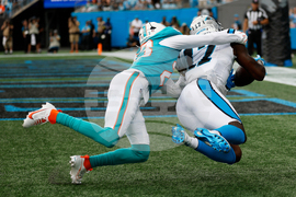 Dolphins Panthers Football