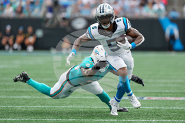 Dolphins Panthers Football