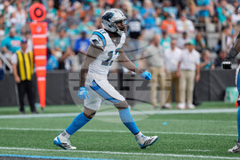 Dolphins Panthers Football