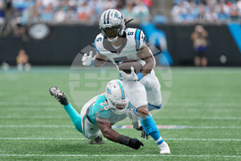 Dolphins Panthers Football