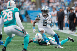 Dolphins Panthers Football